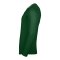 Nike Park 26 Longsleeve Grün F302 - gruen