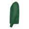 Nike Park 26 Sweatshirt Grün F302 - gruen