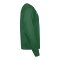 Nike Park 26 Sweatshirt Grün F302 - gruen