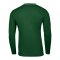 Nike Park 26 Sweatshirt Kids Grün F302 - gruen