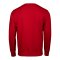 Nike Park 26 Sweatshirt Kids Rot F657 - rot