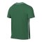 Nike Park 26 Trainingsshirt Grün F302 - gruen