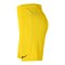 Nike Park III Short Kids Gelb F718 - gelb