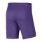 Nike Park 3 Short Lila F507 - lila