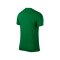 Nike Park VI Trikot kurzarm Grün F302 - gruen