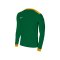 Nike Park Derby II Trikot langarm Grün F302 - gruen
