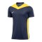 Nike Park Derby IV Trikot Blau Gelb F410 - blau
