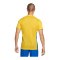 Nike Park Derby IV Trikot Gelb Blau F720 - gelb