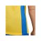Nike Park Derby IV Trikot Gelb Blau F720 - gelb