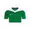 Nike Park Derby IV Trikot Grün F302 - gruen