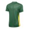 Nike Park Derby IV Trikot Grün Gelb F303 - gruen
