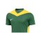Nike Park Derby IV Trikot Grün Gelb F303 - gruen