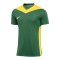 Nike Park Derby IV Trikot Grün Gelb F303 - gruen