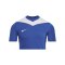 Nike Park Derby IV Trikot Kids Blau F463 - blau