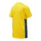 Nike Park Derby IV Trikot Kids Gelb Blau F720 - gelb