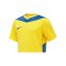 Nike Park Derby IV Trikot Kids Gelb Blau F720 - gelb