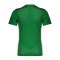 Nike Park Derby IV Trikot Kids Grün F302 - gruen