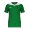 Nike Park Derby IV Trikot Kids Grün F302 - gruen