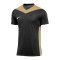 Nike Park Derby IV Trikot Kids Schwarz Gold F011 - schwarz