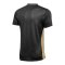 Nike Park Derby IV Trikot Schwarz Gold F011 - schwarz