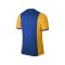 Nike Park Derby Trikot kurzarm Blau Gold F467 - blau