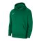 Nike Park 20 Fleece Hoody Kids Grün Weiss F302 - gruen