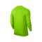 Nike Park Goalie II Torwarttrikot Hellgrün F303 - gruen