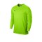 Nike Park Goalie II Torwarttrikot Hellgrün F303 - gruen