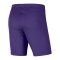 Nike Park III Short Lila F547 - lila