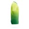 Nike Park Shadow Trikot Gelb F700 - gelb
