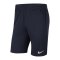Nike Park 20 Knit Short Blau Weiss F451 - blau