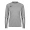 Nike Park V Torwarttrikot Langarm Damen Schwarz F097 - schwarz