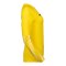Nike Park V Torwarttrikot Langarm Damen Gelb F718 - gelb