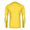 Nike Park V Trikot langarm Gelb F718 - gelb