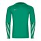 Nike Park V Trikot langarm Grün F324 - gruen