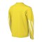 Nike Park V Trikot langarm Kids Gelb F718 - gelb