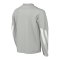 Nike Park V Trikot langarm Kids Grau F097 - grau