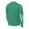 Nike Park V Trikot langarm Kids Grün F324 - gruen