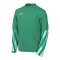 Nike Park V Trikot langarm Kids Grün F324 - gruen