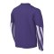 Nike Park V Trikot langarm Kids Lila F507 - lila