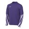 Nike Park V Trikot langarm Kids Lila F507 - lila
