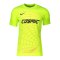 Nike Park VII Cosmic Special Trikot Gelb F702 - gelb