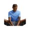 Nike Park VIII Trikot Blau F412 - blau