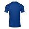 Nike Park VIII Trikot Blau F463 - blau