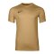 Nike Park VIII Trikot Gold F729 - gold