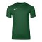 Nike Park VIII Trikot Grün F302 - gruen