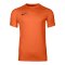 Nike Park VIII Trikot Kids Orange F819 - orange