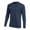 Nike Park VIII Trikot langarm Blau F410 - blau