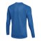 Nike Park VIII Trikot langarm Blau F463 - blau