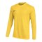 Nike Park VIII Trikot langarm Gelb F719 - gelb